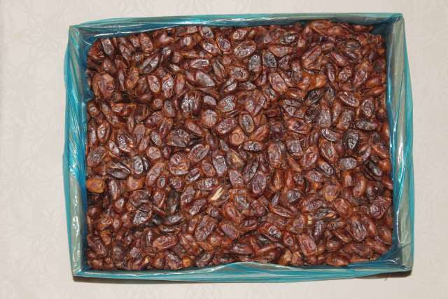Datteln natur - 10 kg