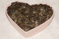 Kürbiskerne - 1 kg